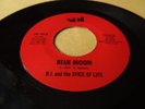 DJ AND THE SPICE OF LIFE - BLUE MOON Hawaii Hawaiian 45 rpm 1980