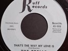 THE TROLLS - THAT'S THE WAY MY LOVE IS (Ruff) - Killer USA Fuzz Garage Psych 45