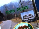 ORIGINAL 1990 TWIN PEAKS VINYL LP DAVID LYNCH JULEE CRUISE SHERIFF STICKER RARE