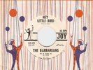 HEAR Barbarians-Hey Little Bird '65 MA GARAGE PUNK BRUTAL FUZZ SNOTTY VOCAL NETS
