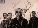 PETTY, Tom & THE HEARTBREAKERS - Echo (remastered) - Vinyl (2xLP)