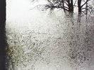 BON IVER - FOR EMMA FOREVER AGO - VINYL LP - NEW