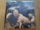 Interpol Our Love to Admire 2007 Vinyl LP Near Mint 1st Pressing
