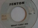 THE QUESTS what can i do/shadows in the night 1967 single on Fenton killer  ?