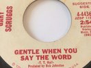 NORTHERN SOUL GARAGE PROMO 45/ GARY SCRUGGS 