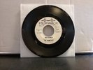 The Primitives THE OSTRICH / SNEAKY PETE PROMO 45 1964 Lou Reed Pre-VU VG+
