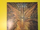 Cynic Focus Original Vinyl LP 1993