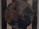 Blondie Parallel Lines Picture Record CHP5001