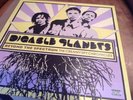 Digable Planets - Beyond The Spectrum 2Lp Vinyl Blue Note (2005)