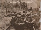 ERIC BURDON / THE ANIMALS 'ANIMAL TRACKS' INDIA EP