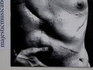 ANDY WARHOL PHOTO COVER RICHARD AVEDON 7