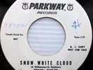 FRANK TAYLOR country PROMO 45 Snow white cloud Send her back to me E9740