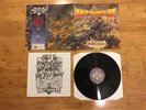 BOLT THROWER - REALM OF CHAOS LP - ORIGINAL EARACHE TERRORIZER MINT