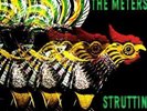 `Meters, The`-Struttin  (US IMPORT)  VINYL LP NEW