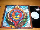 SECOND LIGHT  -  DREADZONE  -  ORIGINAL UK VIRGIN LABEL - DLP  -  1995.