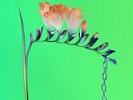 `Flume - Skin Companion EP I [LP] (limited to 1000, in (US IMPORT)  VINYL LP NEW