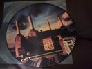 Pink Floyd-Animals Picture LP... N° 062-98434-P..RARE