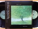 KIM DOO SOO 10 Days Butterfly Mint 2LP OBI Japan OG Press PSF Acid Folk Psych M