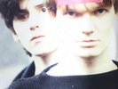 CRTN-8245 HOUSE OF LOVE, THE House Of Love, The OOP NEW 12