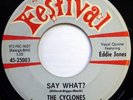 The CYCLONES 45 Say What? / Give Me Love FESTIVAL doo wop VG++ Ws686