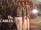 The Cables - What Kind of World LP VGC Studio One