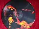 T. REX PICTURE DISC L.P. 1981.   'T. REX IN CONCERT.'    ABOLAN 1P.     EX+ CON.
