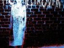 PIG DESTROYER-BOOK BURNER  VINYL LP NEUF