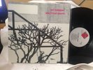 ED KUEPPER ELECTRICAL STORM VINYL LP RECORD 12