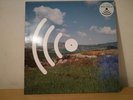 Disco Inferno - D.I. Go Pop 12 inch Vinly Lp from 1994