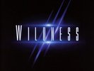 Wildness - Vinyl LP Aor Heaven NEU