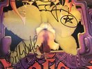 The Cult ?– Wild Flower 12” vinyl signed by Billy Duffy, Ian Astbury
