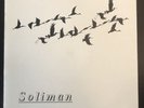 THORNY GROUP - SOLIMAN. SUPERB OBSCURE ITALO DISCO & WEIRD SYNTH LIBRARY Lp