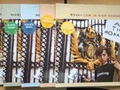 Morrissey Low in High School BLUE GREEN YELLOW ORANGE CLEAR 5 VINYL ALBUM SEALED