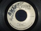 THE SOUL VENDORS - SWING EASY   (Reggae)  45