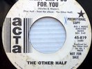 OTHER HALF Randy Holden 45 GARAGE PSYCH vg+45 WHAT CAN I DO FOR YOU BAD DAY dm19