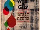 THE RAINDROPS 1963 UK LONDON EP *WHAT A GUY*  GIRL GROUP