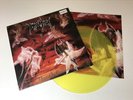 Immolation - Dawn Of Possession vinyl lp suffocation morbid angel deicide death