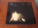 Wolf Alice fully signed LP My love is cool