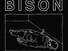 Bison B.C. One Thousand Needles 12