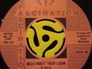 GARAGE/SWEET SOUL 45-Sharades-Wild About Your Lovin/Only A Tear-Fascination HEAR