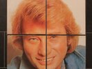 Johnny Hallyday « La Tête » Vinyles 33 Tours Collector Rare