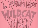 Original Ray Campi & His Rockabilly Rebels - Wildcat Shakeout 1979 Promo Flyer