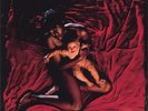 THE AFGHAN WHIGS Congregation DOUBLE LP Vinyl NEW Re-Issue 2017 Sub Pop Black Vi