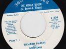 RICHARD SHANN & COMPLEXUS The Wooly Buger RARE Ohio funk 45 bonehead fuzz HEAR