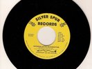 Power Pop 45 STRAIGHT AS AN ARROW Intergalactic Integration Silver Spur HEAR