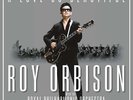 ROY ORBISON A Love So Beautiful LP Vinyl NEW PRE ORDER 15/12/17