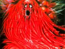 MORGOTH - Resurrection Absurd - Vinyl-LP - black Vinyl