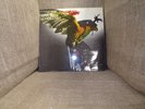 Budgie, In For The kill MCF 2546 Vinyl Album