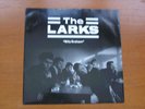 The Larks - Billy Graham -  Vinyl 12