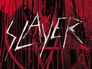 SLAYER The Vinyl Conflict 11 x 180 Vinyl LP (10 Albums) NEW & SEALED